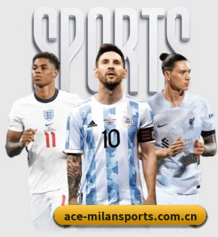 五大服务分区,信息按项目分类（Milan）
